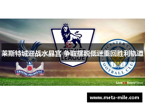 莱斯特城迎战水晶宫 争取摆脱低迷重回胜利轨道 莱斯特城迎战水晶宫 争取摆脱低迷重回胜利轨道