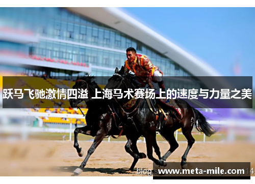 跃马飞驰激情四溢 上海马术赛场上的速度与力量之美 跃马飞驰激情四溢 上海马术赛场上的速度与力量之美