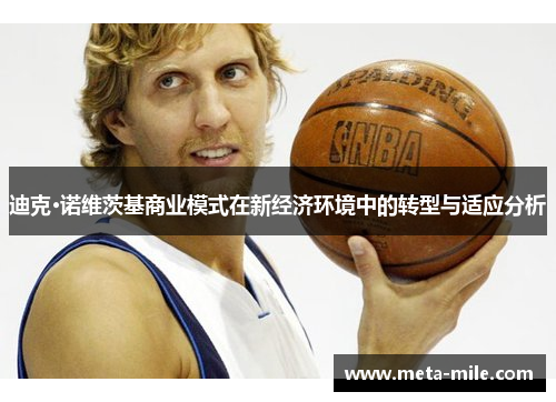 迪克·诺维茨基商业模式在新经济环境中的转型与适应分析 迪克·诺维茨基商业模式在新经济环境中的转型与适应分析