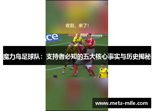 魔力鸟足球队：支持者必知的五大核心事实与历史揭秘